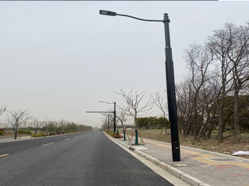 莱阳市上海综合杆 太阳能路灯工程